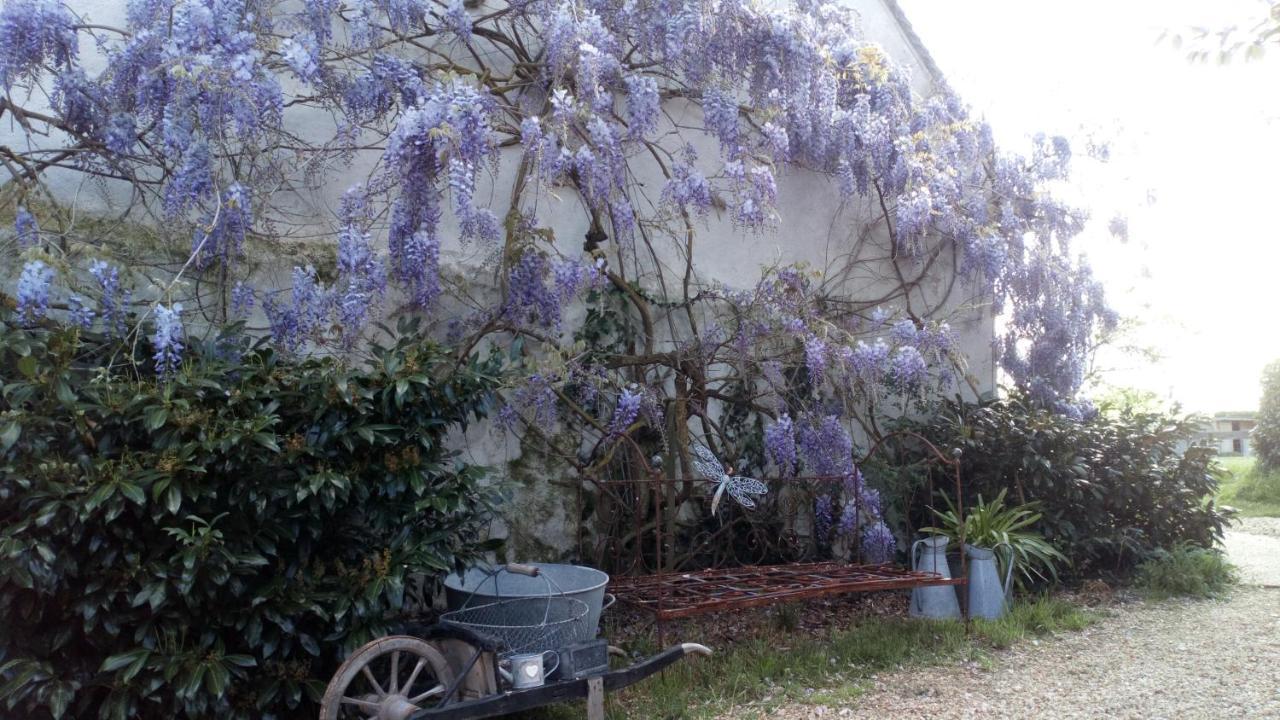 La Pause - Val De Loire Bed & Breakfast Chabris Exterior photo